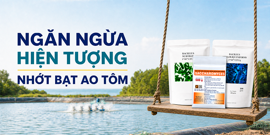Banner giải pháp vi sinh Aquaviet