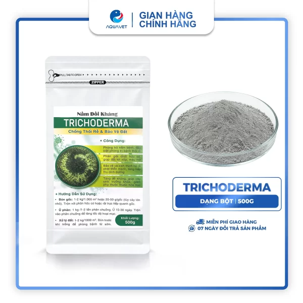 Nấm Men Trichoderma